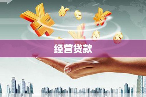 泾县经营贷款
