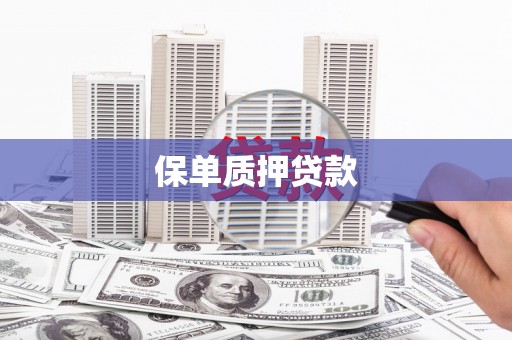 泾县保单质押贷款