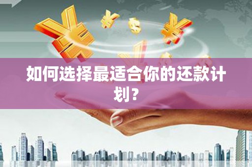 泾县如何选择最适合你的还款计划？
