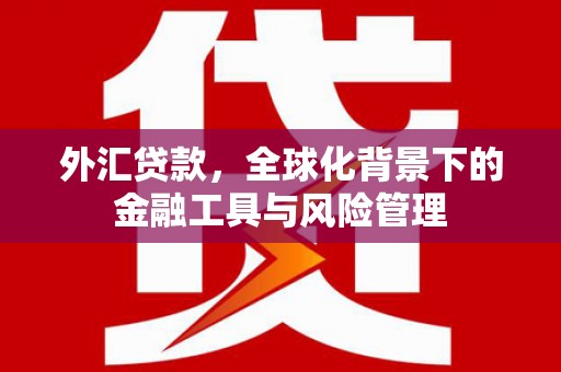 泾县外汇贷款，全球化背景下的金融工具与风险管理