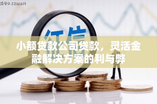 泾县小额贷款公司贷款，灵活金融解决方案的利与弊