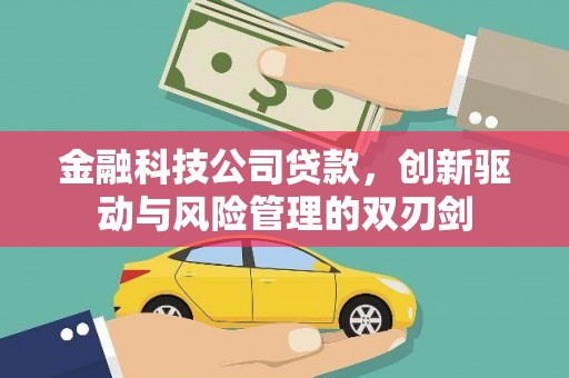 泾县金融科技公司贷款，创新驱动与风险管理的双刃剑