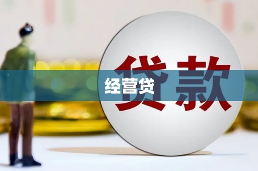 泾县经营贷