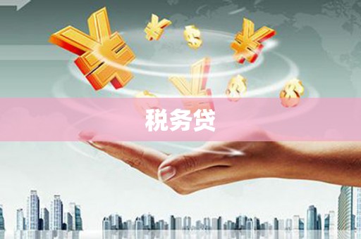 泾县税务贷